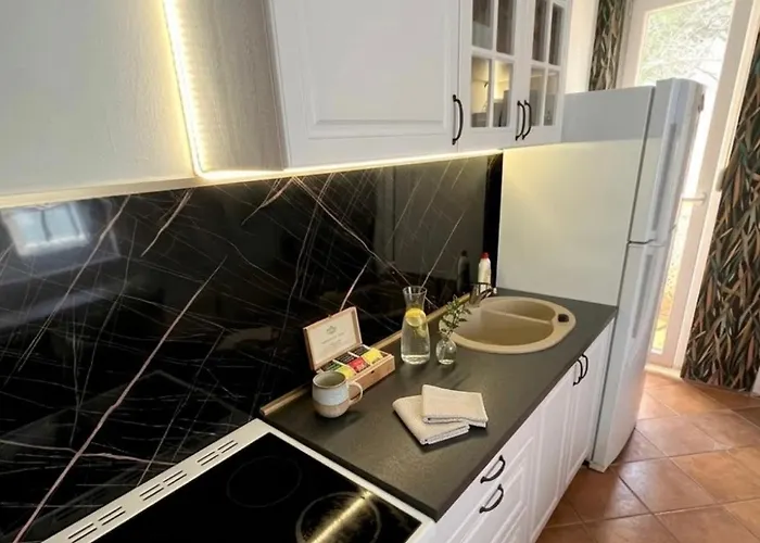 Amazon Hostel Center Podgorica * Podgorica